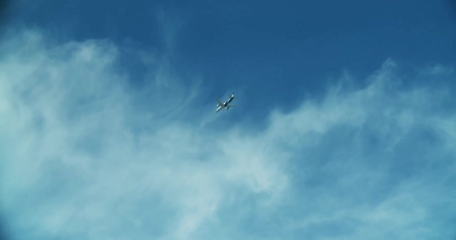 An airplane flying in the sky with a bird flying in the foreground with the sky and clouds in the background