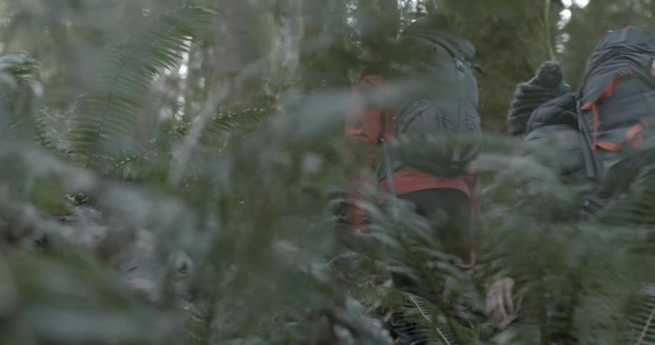 A woman is hiking through a forest