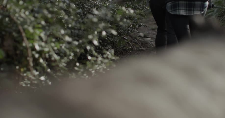Two people are hiking in the wilderness