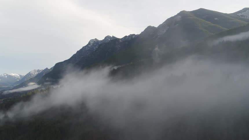 Descending along the slope of a foggy mountain forest