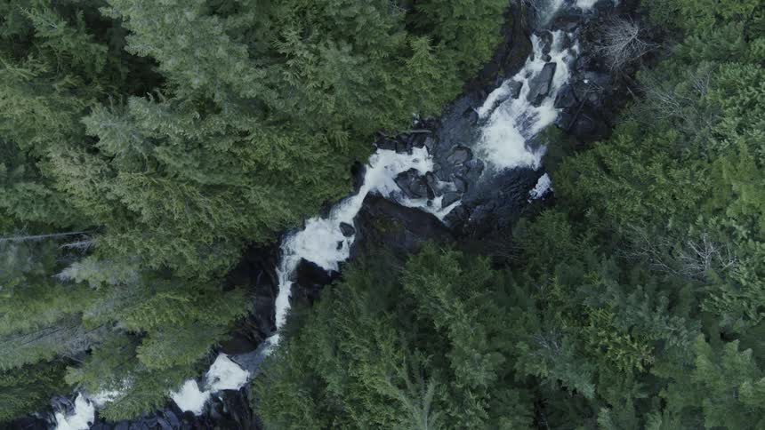 Birds eye view of an alluring mountain stream cascading down multiple waterfalls through a lush green forest