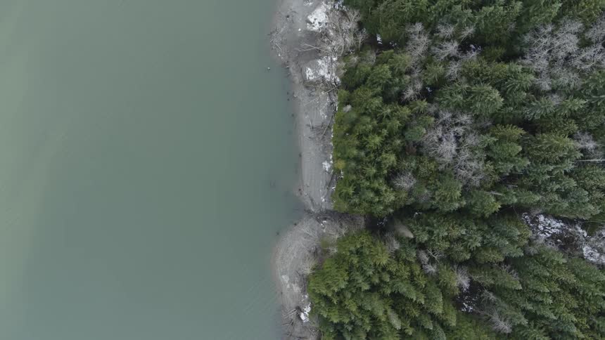 Top down view of a frosty lake shore between an evergreen forest and glacial lake on a winter day