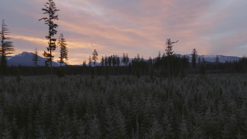 A stunning painted sky over frost covered trees in a forest with mountains along the horizon