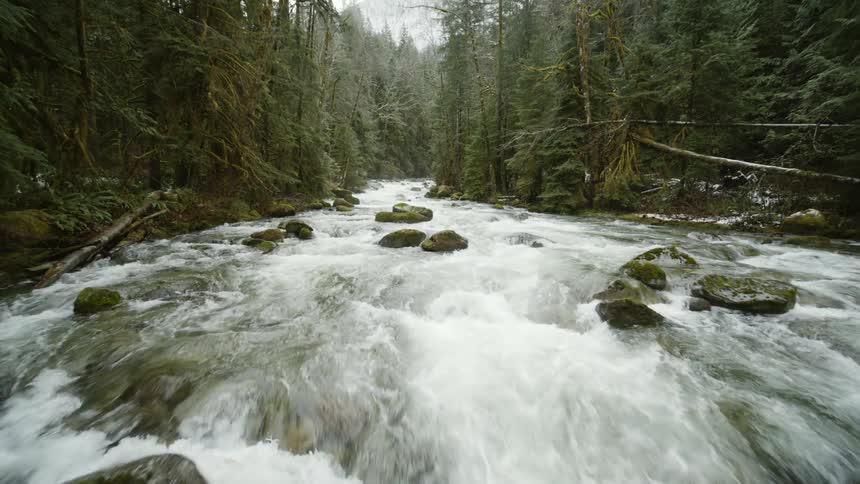 A low push above a pristine mountain river surrounded by evergreen forest