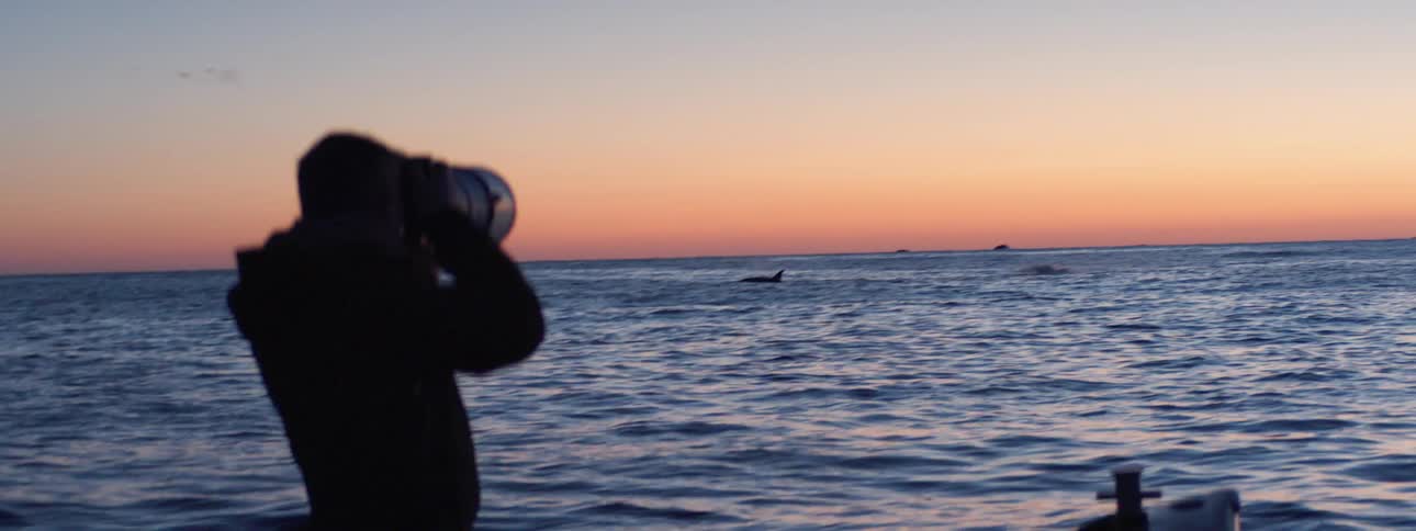 A man taking photos of sea life in an ocean