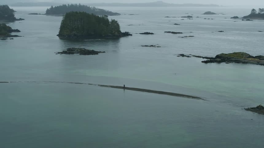 A person is walking on the sand by the shore
