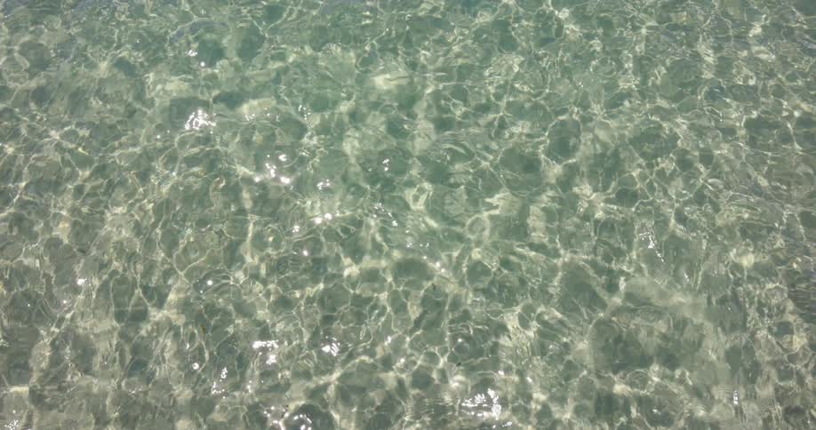 Water rippling with the sun reflecting on the surface