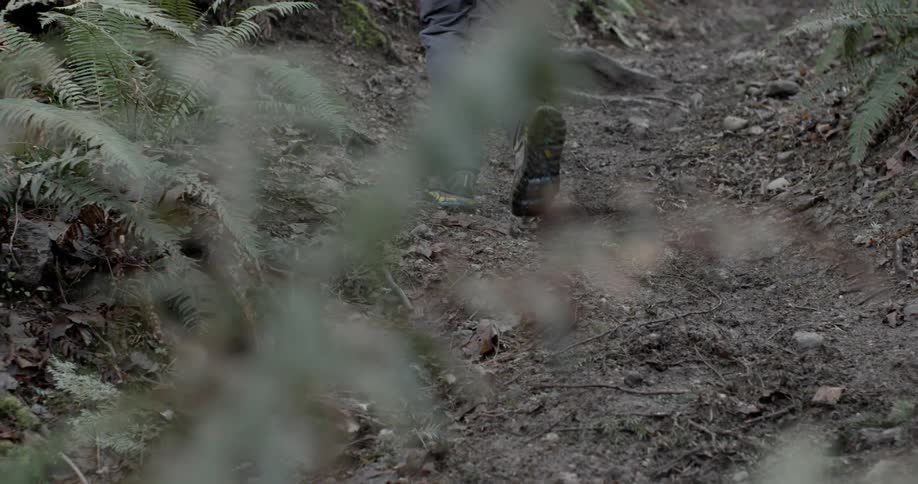 A hiker's feet are shown walking up a hill in the woods