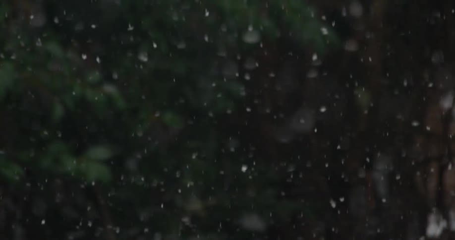 Snowflakes falling to the ground in slow motion