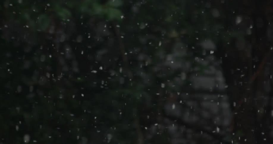 Snow falls past trees and a stone wall