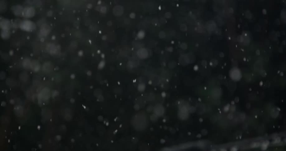 Snow falls onto a light hanging on a wire with trees in the background