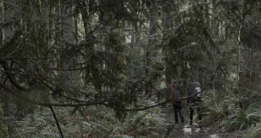 Two people are hiking in the woods