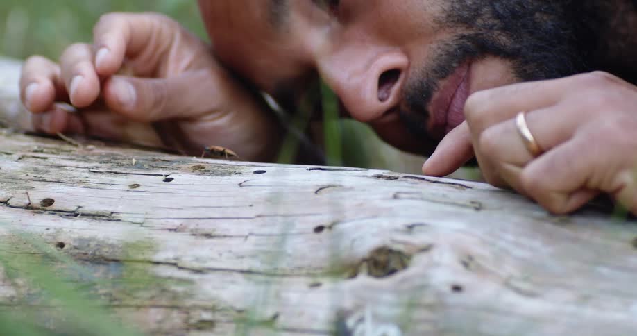 A man is leaning over to touch an insect on a log outdoors