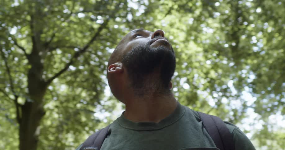 A man wearing a backpack looks up at the trees in the woods