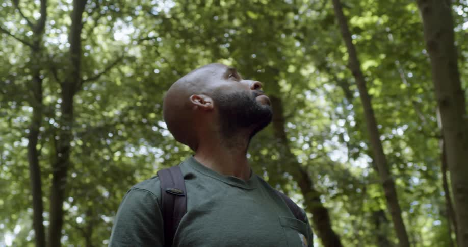 A bearded man wearing a bakcpack looking up in a forest at daytime