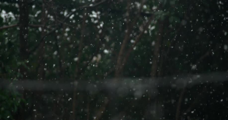 Snow falling with trees branches and leaves the sky and clouds in the background