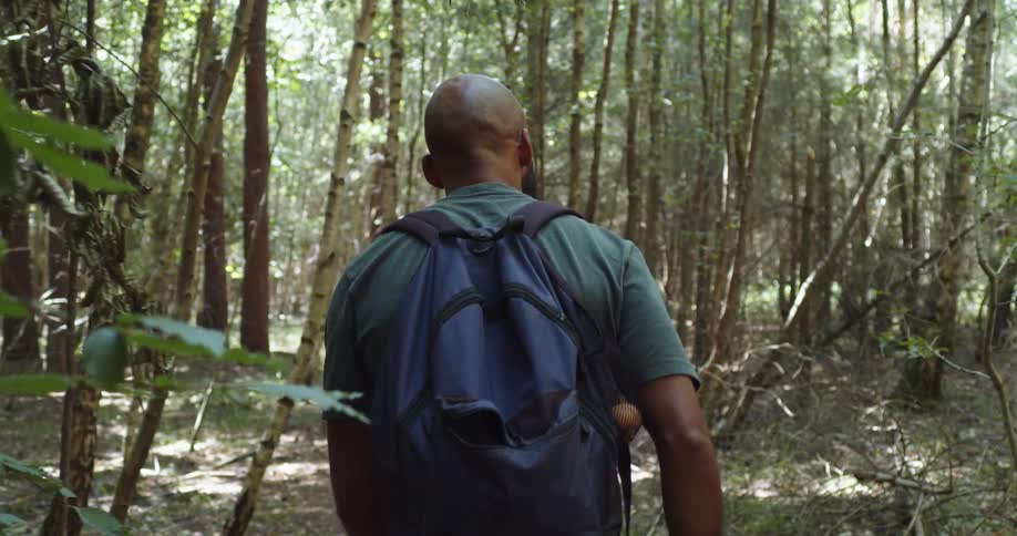 Man wearing a backpack walking through the trees in the forest