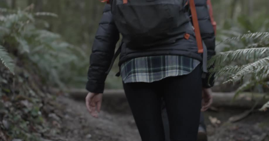 Two people hike a forest trail