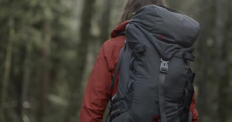 Two women are hiking in the forest