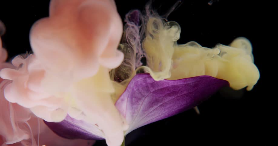 An abstract flower is displayed in a creative way