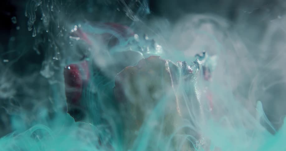 Abstract designs are displayed