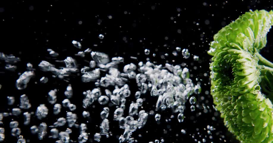 The water and bubbles bounce against the vegetable