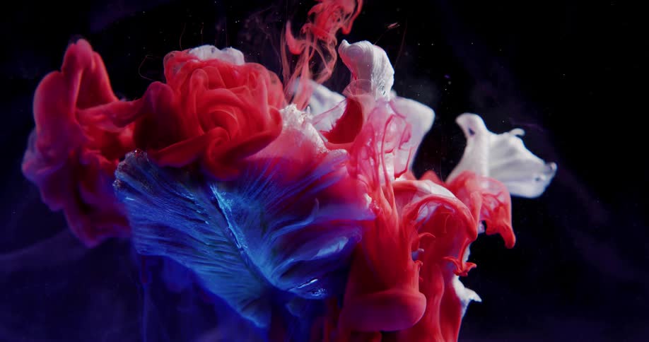 A white and blue flower close up with red liquid poured over it