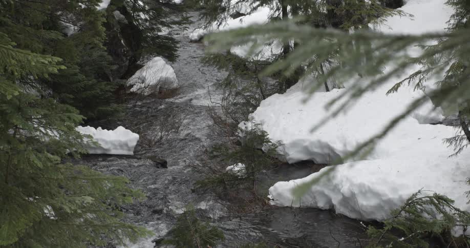 A creek flowing between snow-covered banks