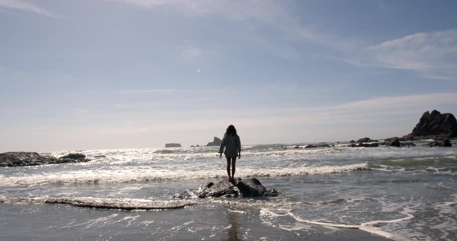 Olympic Coast