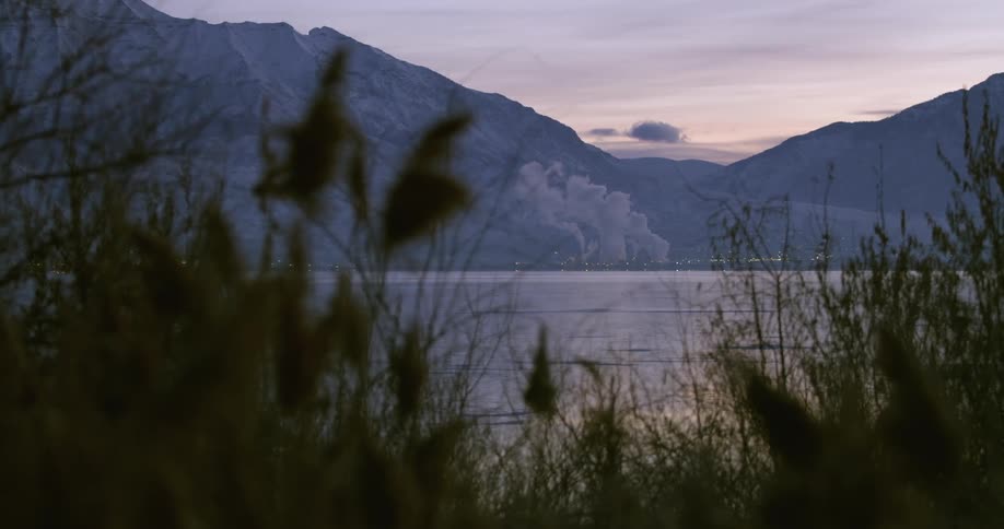 A bird flies over a shore with the skyline and mountains in the background