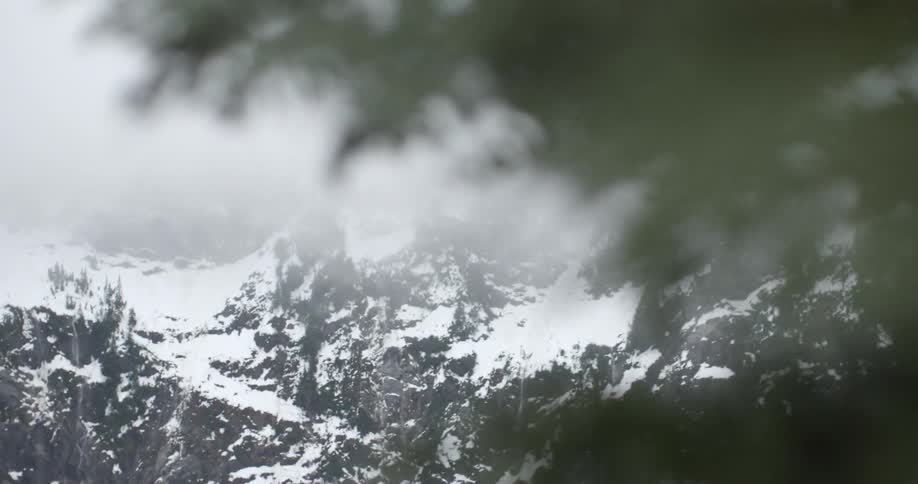 A mountain is covered with snow beyond a branch