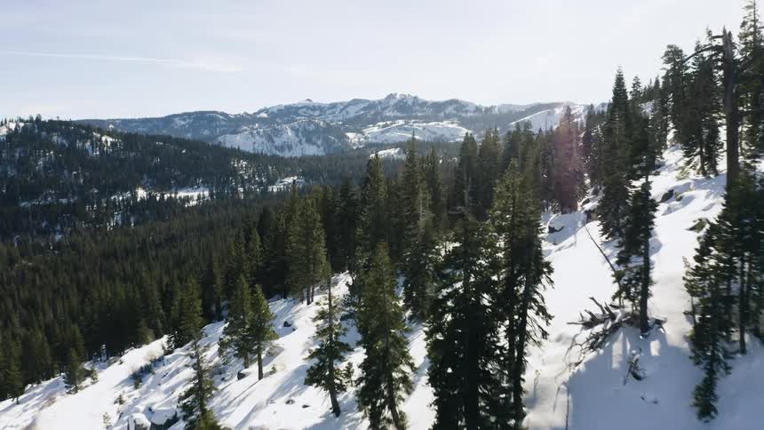The mountains are covered with trees and snow