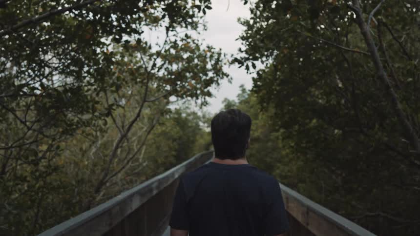 A man walks along a constructed walkway that is carved through a forested area