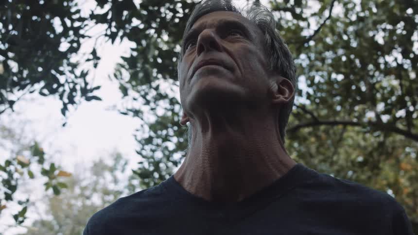 Mature man pensively looking up while standing under the trees in a forest at daytime