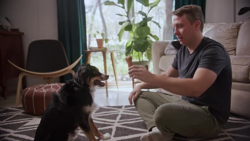 A man sitting on a rug in the living room of a house pets a dog before throwing a toy for the dog to chase