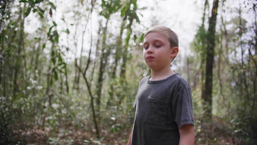 A young boy walks through a forest