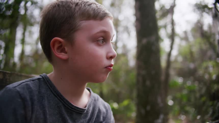 A young boy in a forest