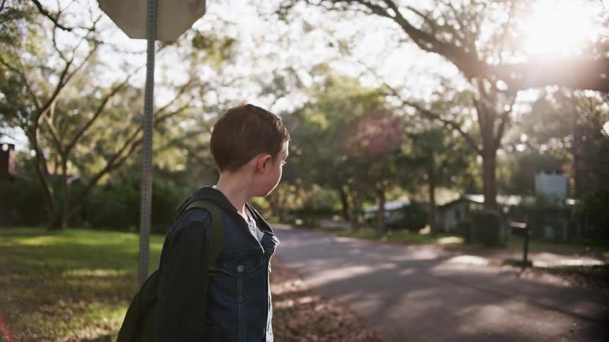 A boy with a backpack standing in a neighborhood with trees houses the sky and clouds in the background
