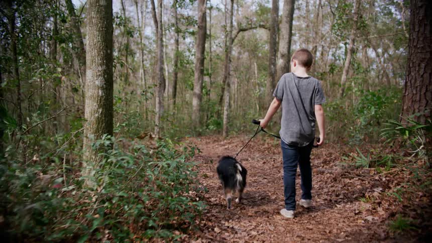 A boy walking a dog on a leash in the forest with trees the sky and clouds in the background
