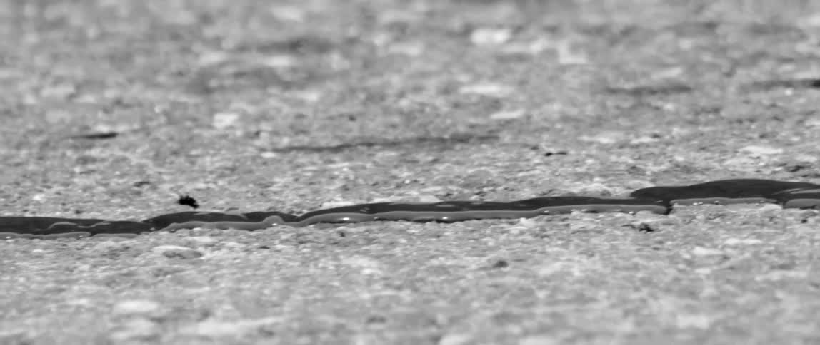 Thin line of dark liquid slowly flowing on concrete
