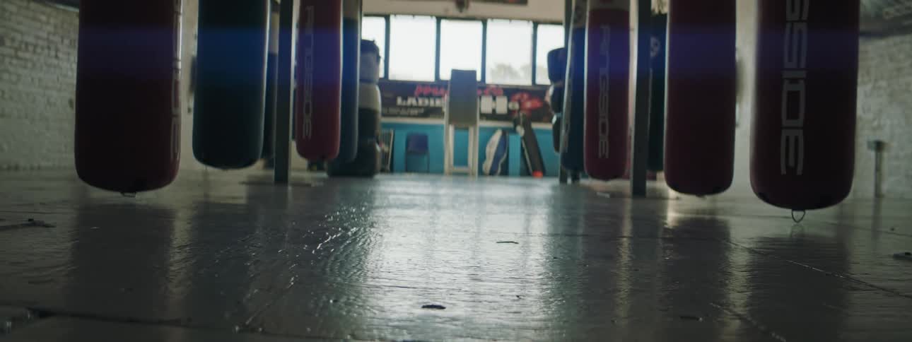 A boxing gym with heavy bags hanging over the floor with walls and windows in the background