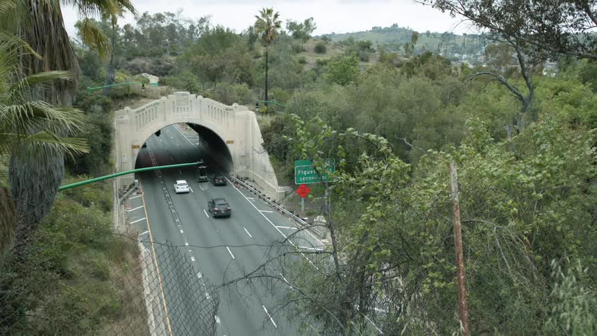 The cars travel through the small tunnel