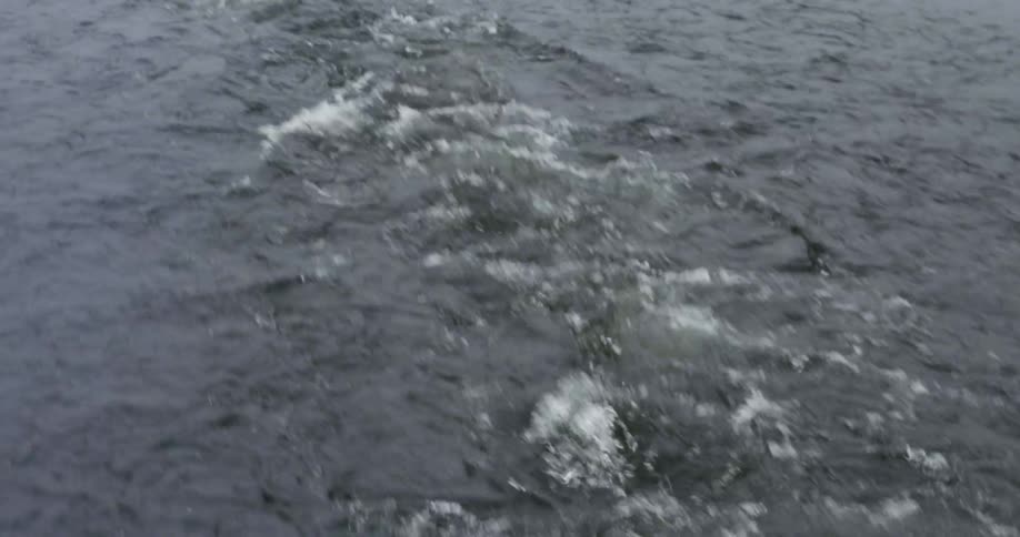Ripples come from a boat