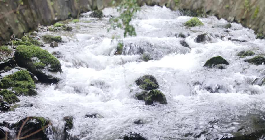 A stream with flowing water rocks plants and moss