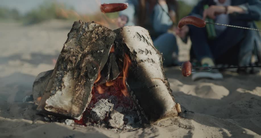 People roasting hot dogs on a log fire