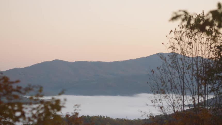 A view of a lake and trees