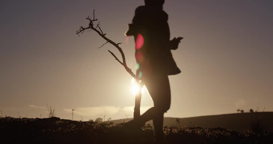 A man and woman walk past a barren and lone tree in a field at sunset