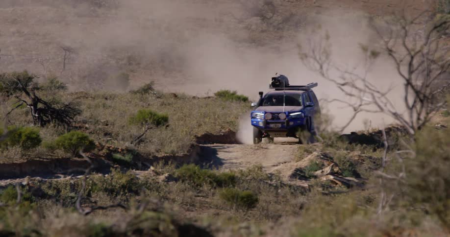 A vehicle driving on a dirt road in the desert with shrubs and trees surrounding the road