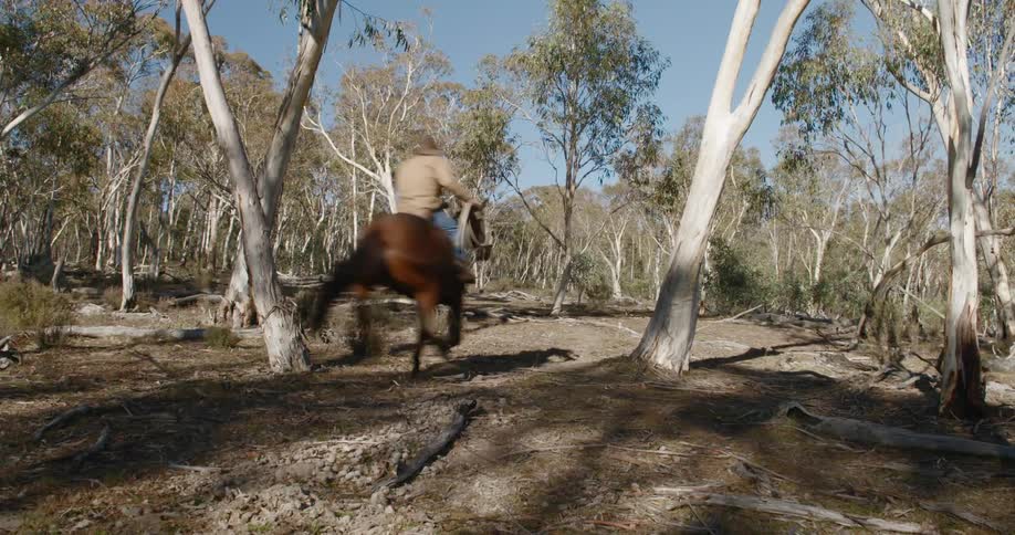 A man with a hat and a lasso riding a horse in a forest with trees the sky and clouds in the background