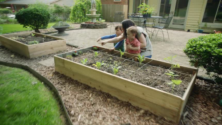 A mother and two young sons crouched beside a backyard garden box